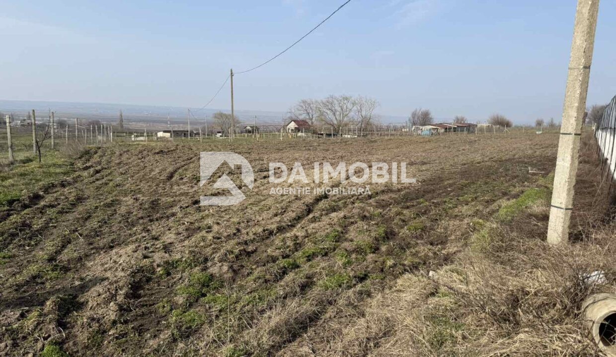 изображение_viber_2026-03-06_12-48-32-279