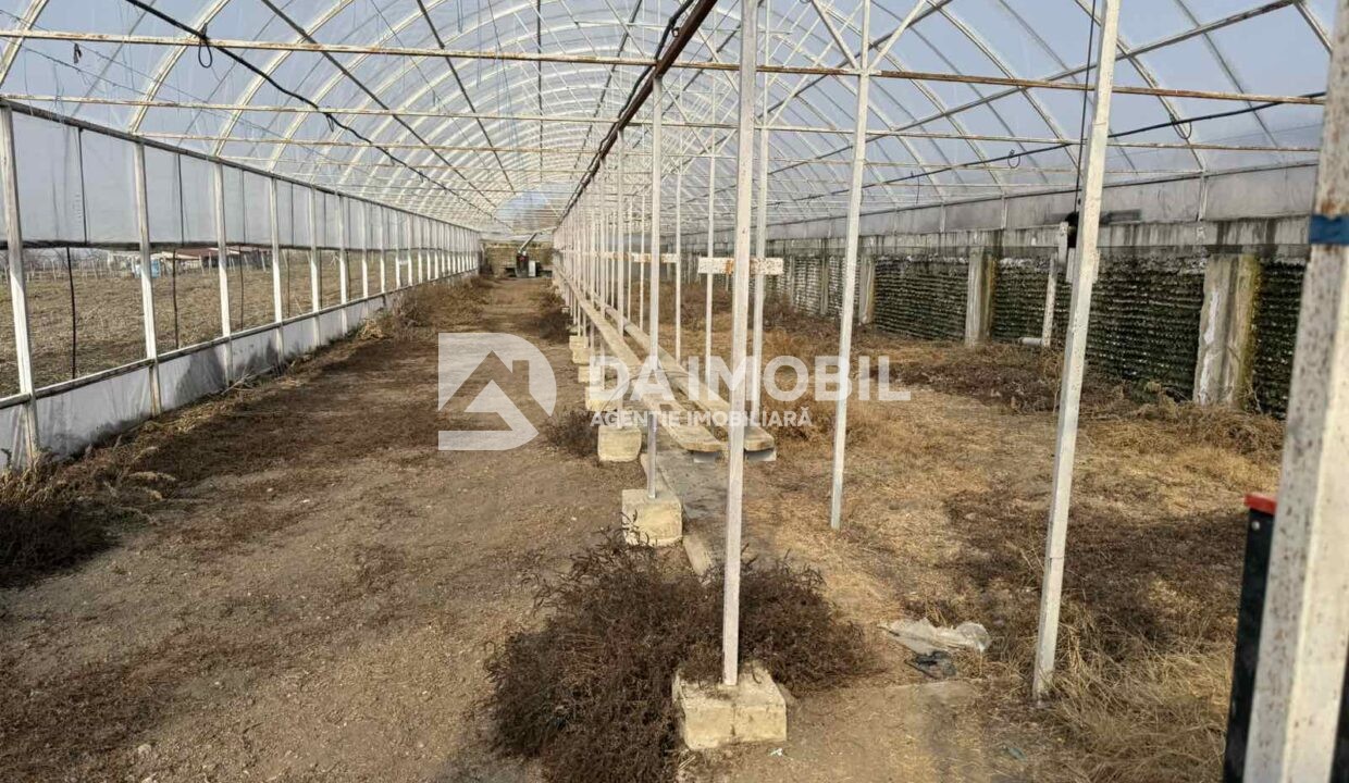 изображение_viber_2026-03-06_12-48-32-720