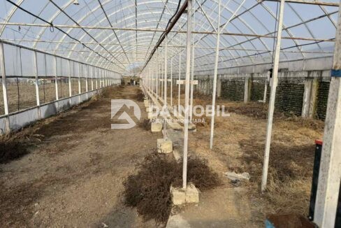 изображение_viber_2026-03-06_12-48-32-720