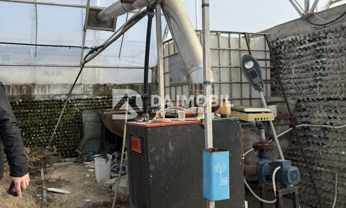 изображение_viber_2026-03-06_12-48-33-024