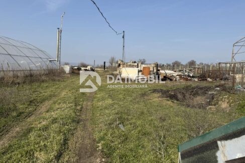 изображение_viber_2026-03-06_12-48-33-462