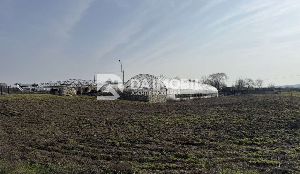 изображение_viber_2026-03-06_12-48-33-879