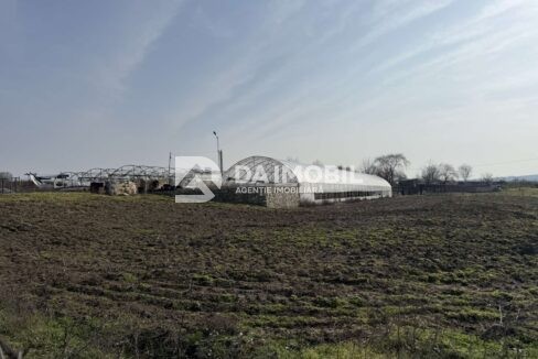 изображение_viber_2026-03-06_12-48-33-879