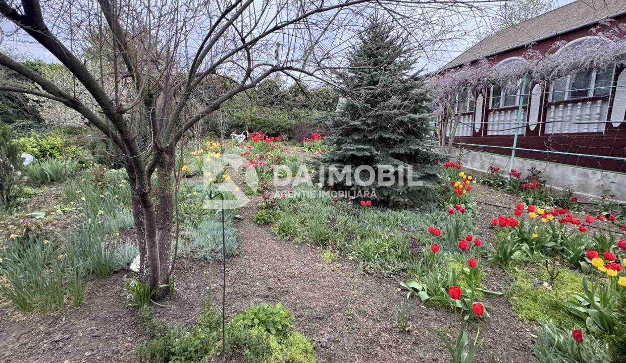 изображение_viber_2026-04-29_12-06-33-191