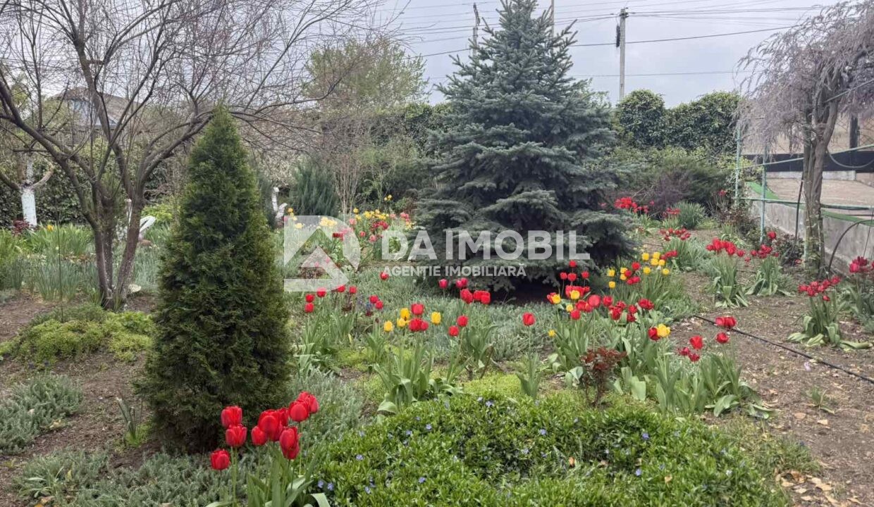 изображение_viber_2026-04-29_13-09-20-084