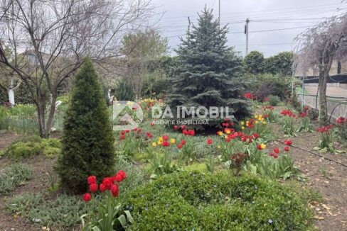 изображение_viber_2026-04-29_13-09-20-084