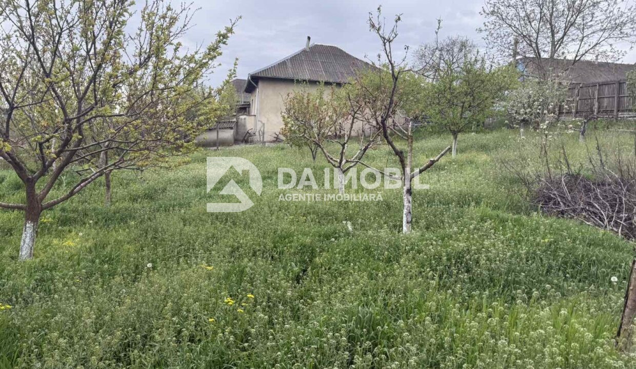 изображение_viber_2026-04-29_13-09-38-247
