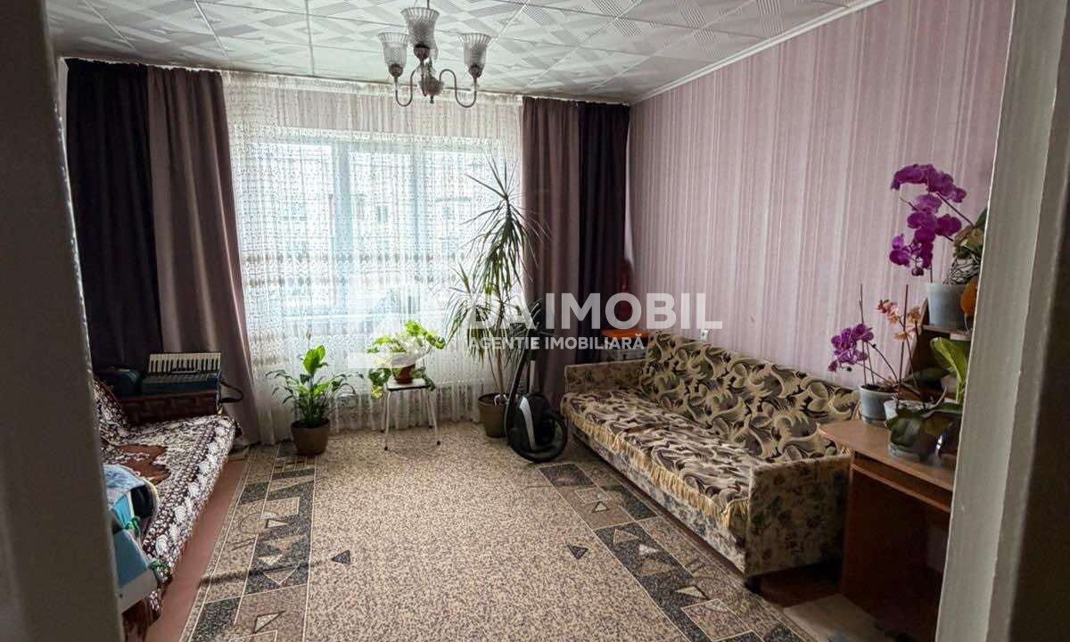 изображение_viber_2026-06-16_12-51-08-831